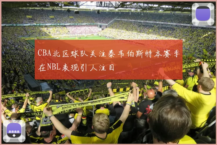 CBA北区球队关注泰韦伯斯特本赛季在NBL表现引人注目