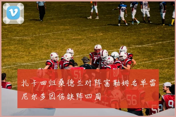 扎卡回归桑德兰对阵富勒姆名单雷尼尔多因伤缺阵四周