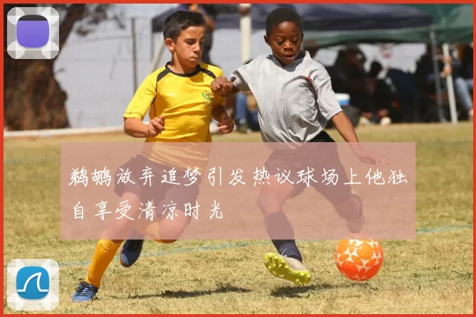 鹈鹕放弃追梦引发热议球场上他独自享受清凉时光